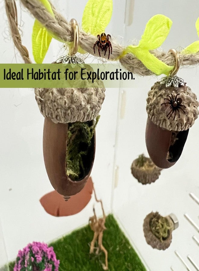 Daerky Jumping Spider Hide, Magnetic Climbing Rope Bridge, Handmade Real Acorn Hideaway Cave, Spider Platform, Decorative Accessory for Small Reptile Enclosures (Style 1) - Image 3